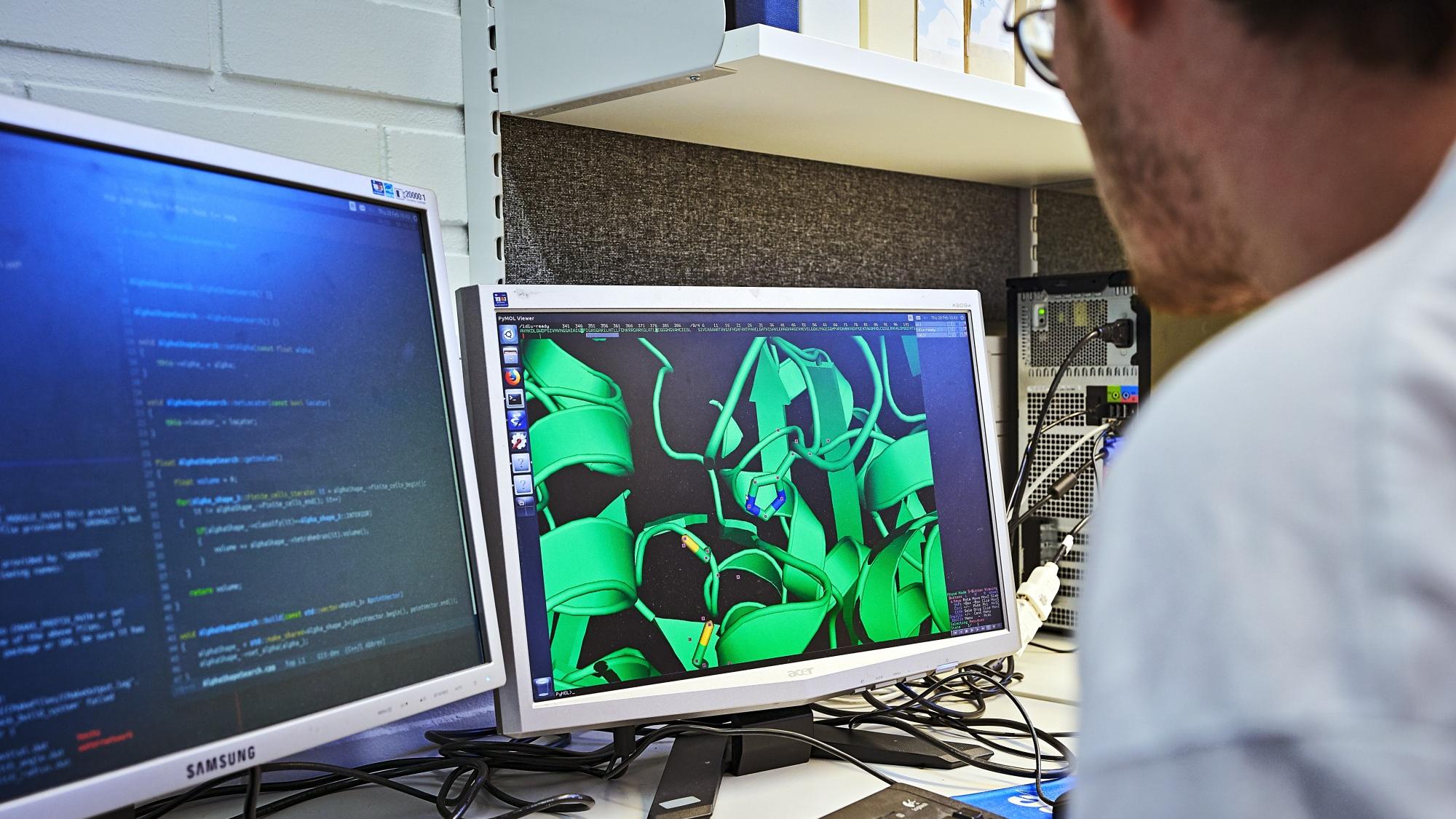 Biocomputing